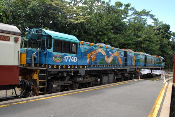 Train qui fait la liaison entre Cairns et Kuruanda